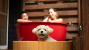 伏楽（ふくらく）の館 那須湯本店